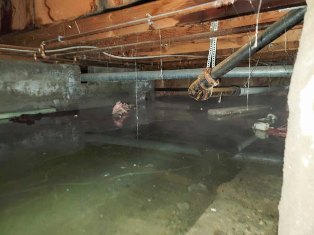 Best Local water damage restoration  in Fort Wright, KY