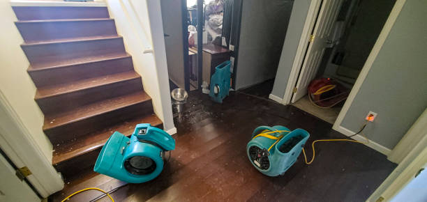 Best Mold removal after water damage  in Fort Wright, KY