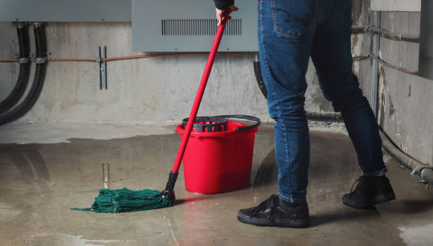 Best 24-hour water damage restoration  in Fort Wright, KY