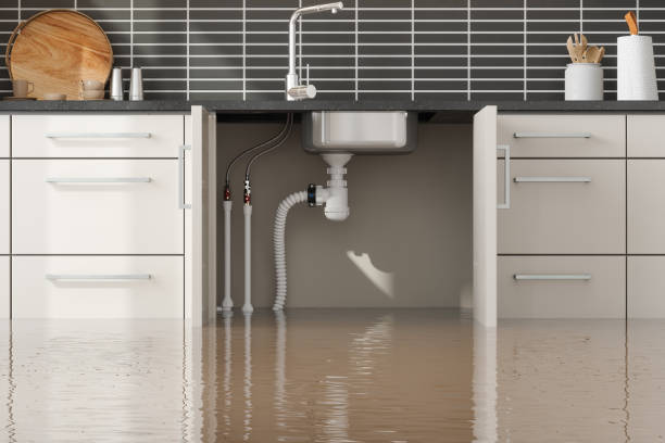 Best Basement water damage restoration  in Fort Wright, KY