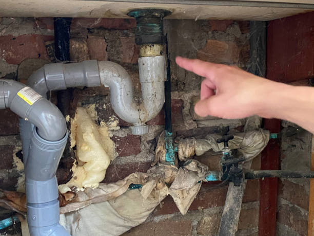 Best Basement water damage restoration  in Fort Wright, KY