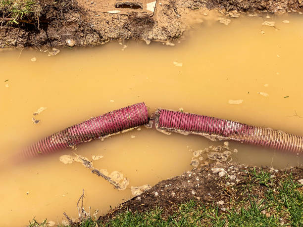  Fort Wright, KY Water damage restoration Pros