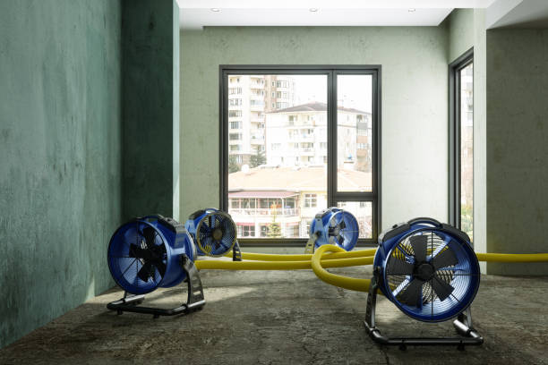 Best Ceiling water damage repair  in Fort Wright, KY